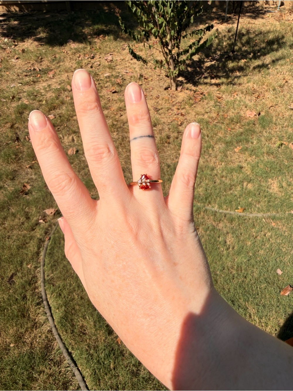 Adjustable Gold Plated Ring with Red Gemstone and Accent Stones - Women Jewelry